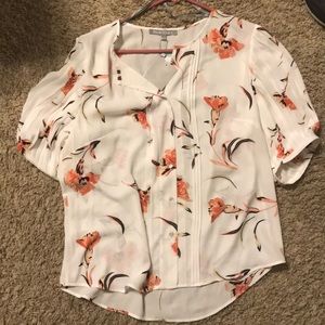 Daniel Rainn Ampton button down blouse